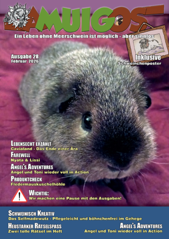 Newsbilder: ausgabe-28-cover_web.jpg